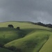 Winter Rain Brings Green to the Hills by handmade