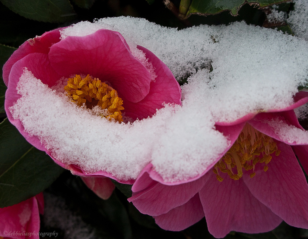 11.3.13 Spring, Winter, Spring, Winter by stoat