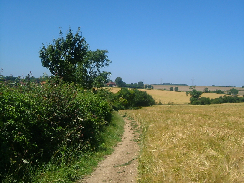 Somwhere I like to dream about.......The Suffolk countryside in summer by lellie