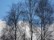11th Mar 2013 - Clouds....