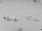 10th Mar 2013 - Footprints