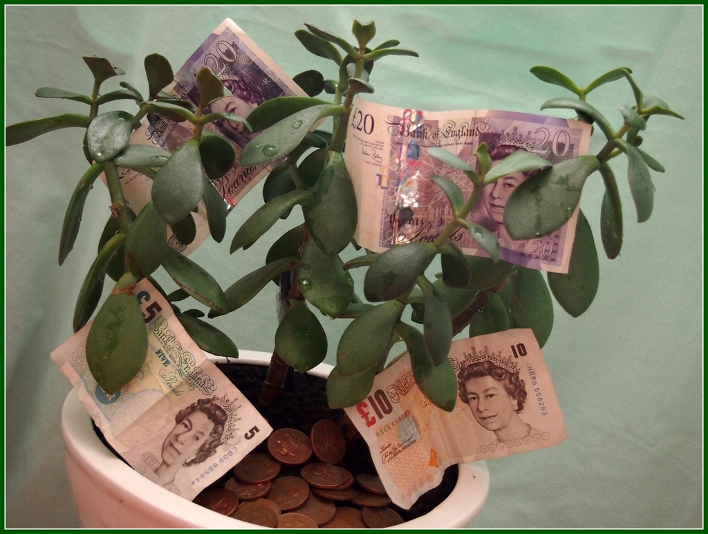 Money doesn't grow on trees! by bizziebeeme
