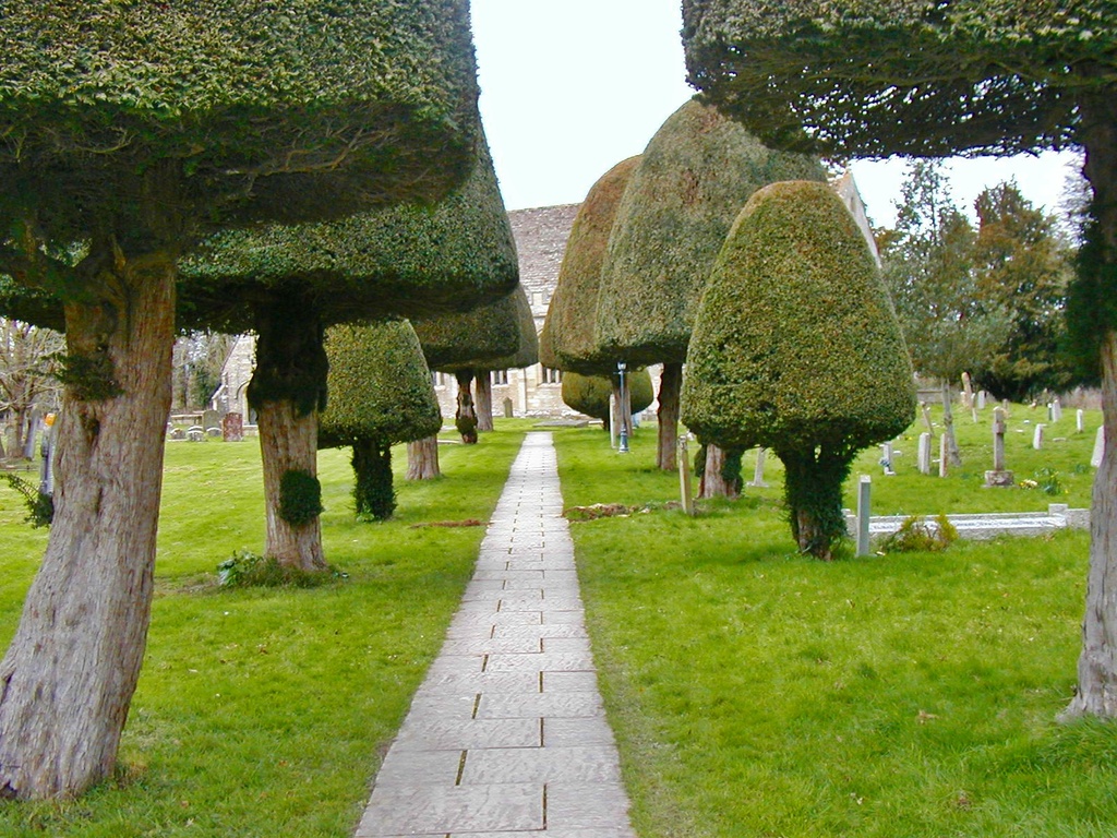 Theres not Mushroom in the Churchyard by ladymagpie