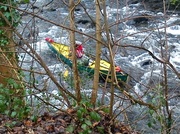 11th Mar 2013 - Canoe 