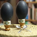 2013 03 13 Emu Eggs by kwiksilver