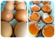 13th Mar 2013 - Eggs