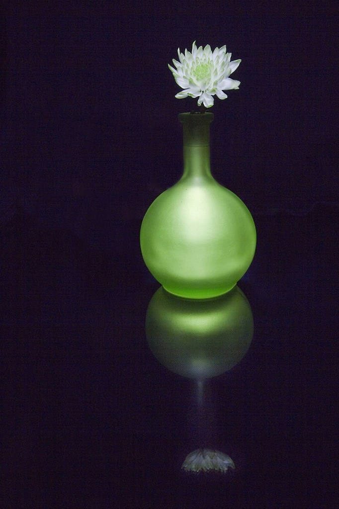Green Vase. by gamelee