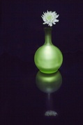 13th Mar 2013 - Green Vase.