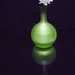 Green Vase. by gamelee