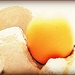 Egg in Carton by olivetreeann