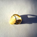 ring by spanner