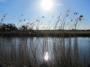 13th Mar 2013 - The River Great Ouse at Eaton Socon. 