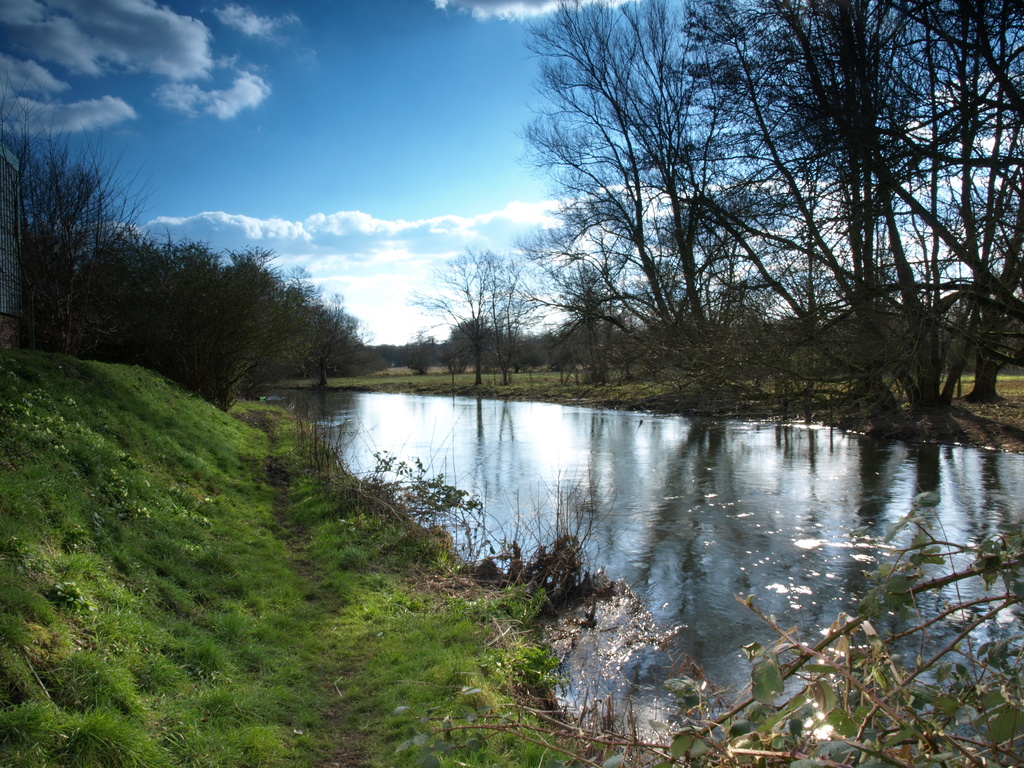 River Avon Salisbury week 10 - 14-3 by barrowlane