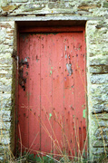 14th Mar 2013 -  red door