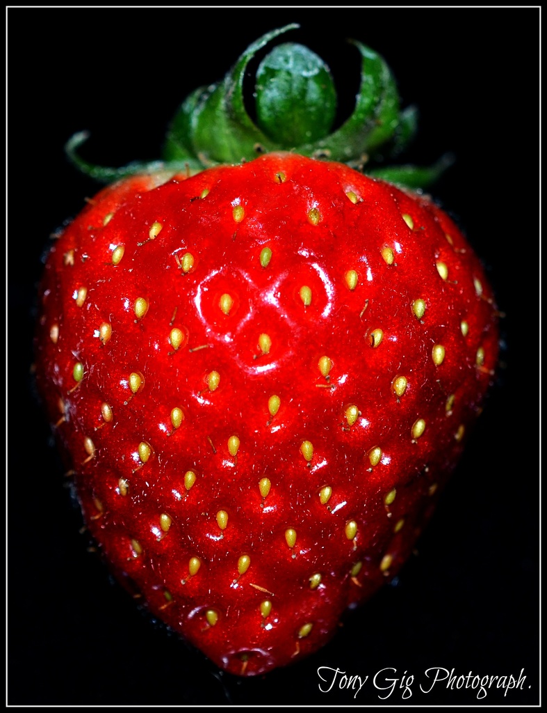 Red Fruit by tonygig