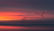 15th Mar 2013 - sunset impressionism