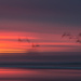 sunset impressionism by kali66