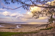 15th Mar 2013 - Pandanus beach at dusk