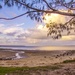 Pandanus beach at dusk by corymbia