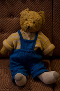 16th Mar 2013 - Old teddy