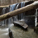 Waterfalls & Icicles by jayberg