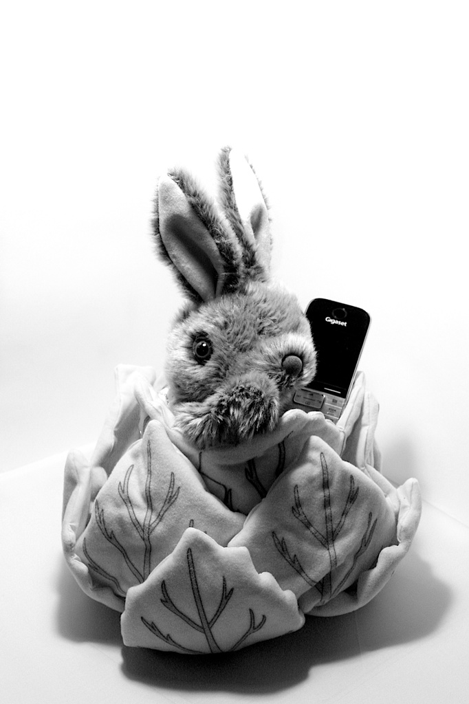 More Rabbit than Sainsburys* by nicolaeastwood