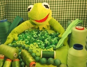 17th Mar 2013 - Crafty Kermit