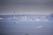 17th Mar 2013 - Seattle Washington