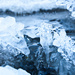 Frozen Beauty by ragnhildmorland