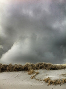 17th Mar 2013 - dune