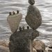 Art: stone equilibrium by belucha