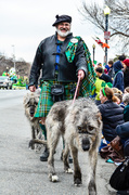 17th Mar 2013 - A Scotsman And His Hound
