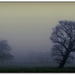 More early morning mist by judithdeacon