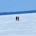 Stroll on the ice by bruni