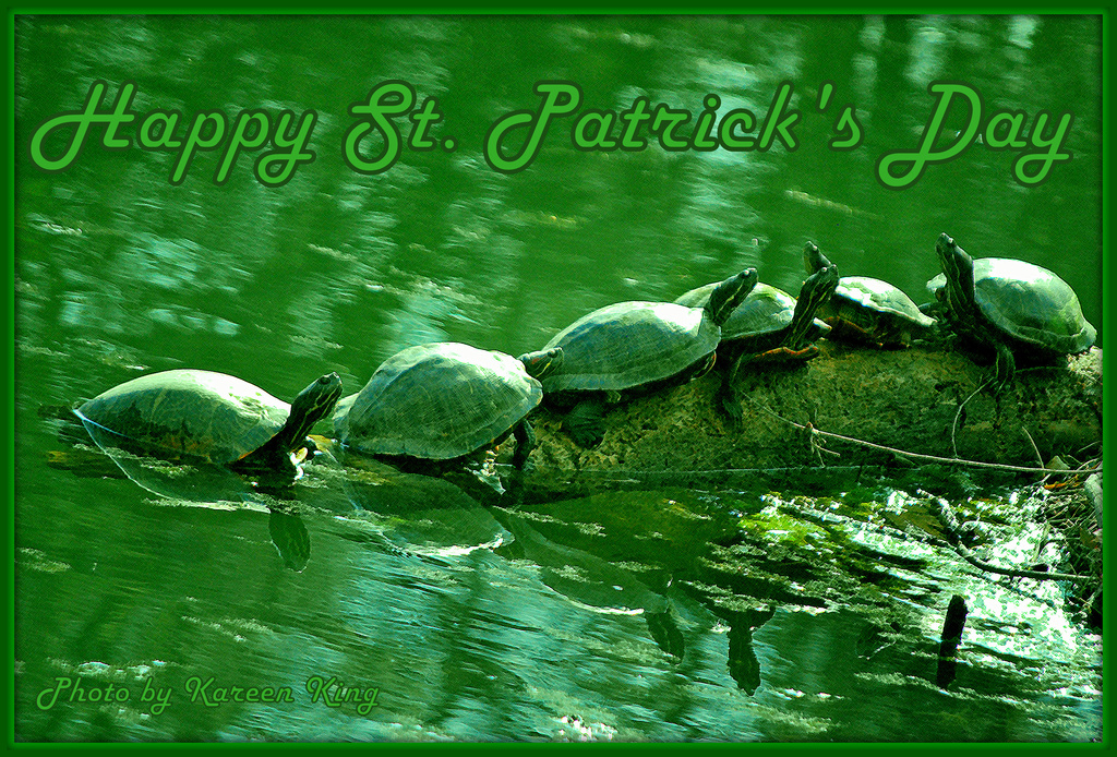 Happy St. Patrick's Day by kareenking