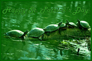 17th Mar 2013 - Happy St. Patrick's Day