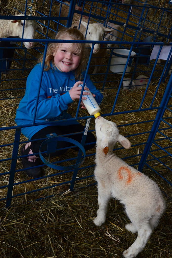 Children + Lambs = Happiness by kathyladley