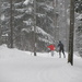 Skiing in the woods by annelis