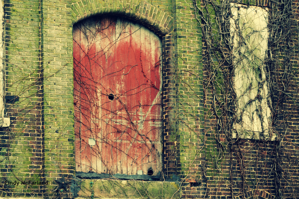 Red Door by cindymc