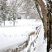 Snowy Fences by alophoto