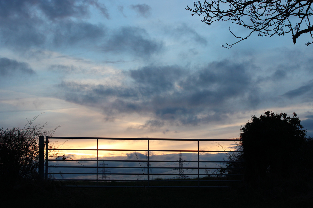 Evening sky by shepherdman