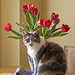 The Cat, as Vase. by gardencat