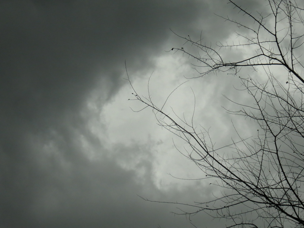 SOOC Stormy Weather by grammyn