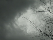 18th Mar 2013 - SOOC Stormy Weather