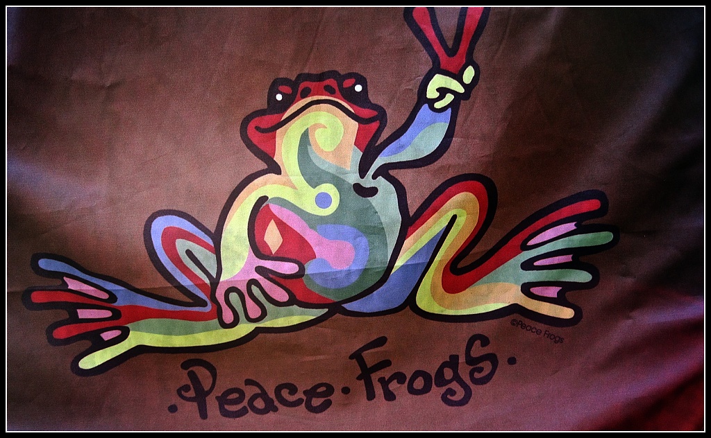 Peace Frogs by allie912