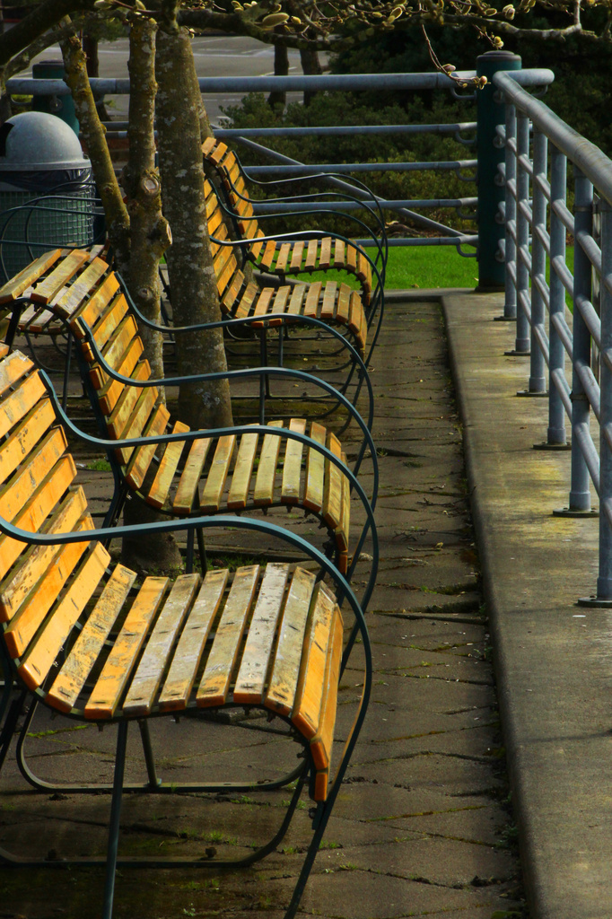 Benches  by nanderson