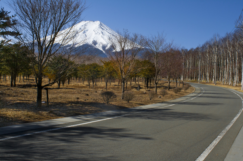The road to Fuji! by lily