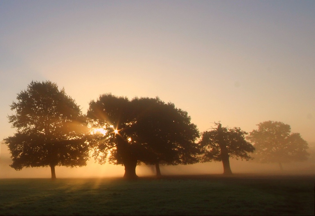 Fine But Misty Morning by netkonnexion