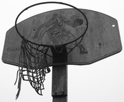 19th Mar 2013 - Slam dunk has been