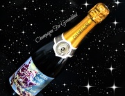19th Mar 2013 - Champagne 